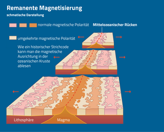 Am Mittelozeanischen Rücken driftet die neu entstandene ozeanische Kruste auseinander. Im Moment, wo das Magma durch die Abkühlung erstarrt, richten sich alle ferromagnetischen Mineralpartikel am aktuellen Erdmagnetfeld aus. Somit haben die Wissenschaftler am Meeresgrund einen «historischen Strichcode». (Infografik: Thomas Baer, Redaktion ORION)